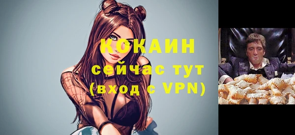 индика Новокубанск