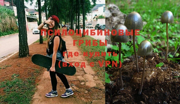 МДМА Новодвинск