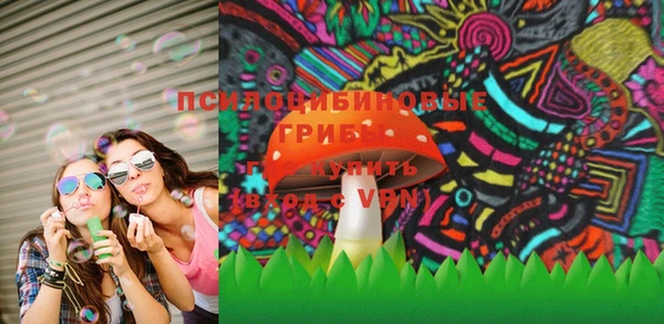 PSILOCYBIN Абаза