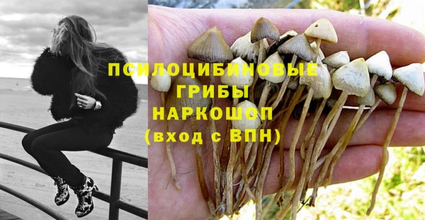 кристаллы Новозыбков