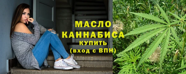 индика Новокубанск