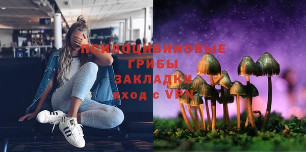 PSILOCYBIN Абаза